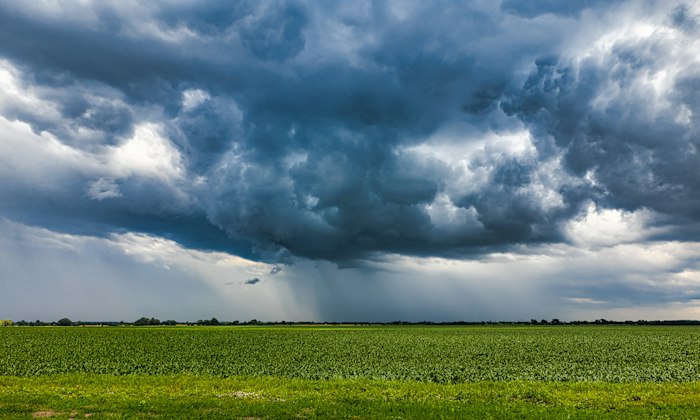Pioggia, immagine di contesto meteorologico